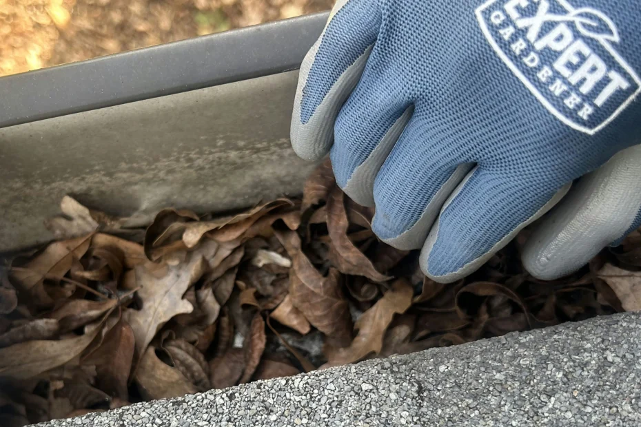 Gutter Cleaning Schaumburg