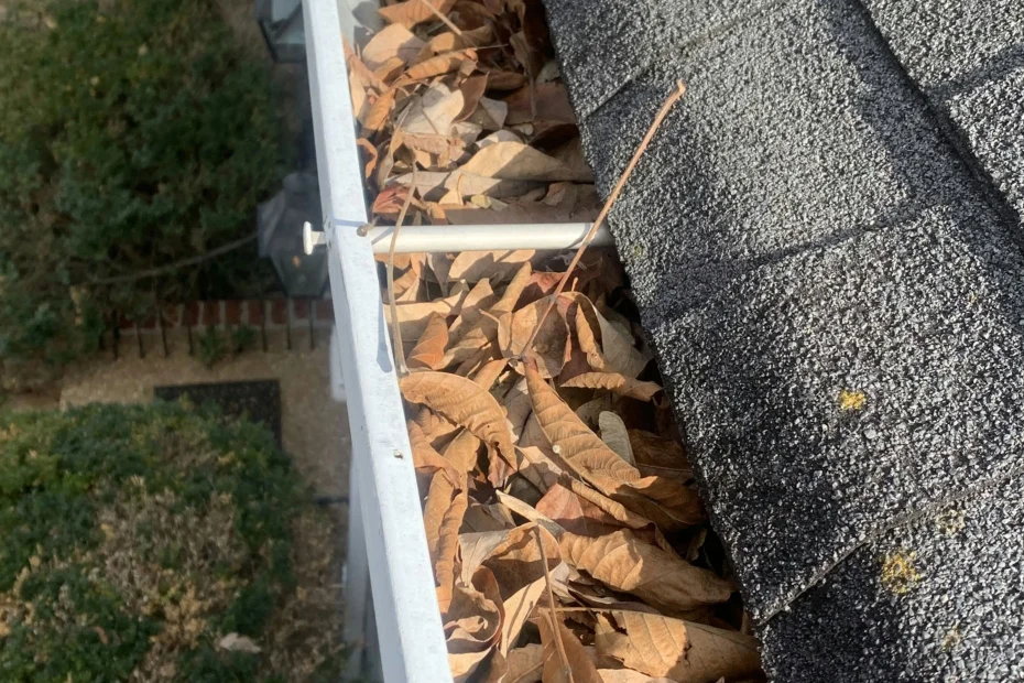 Gutter Cleaning Schaumburg