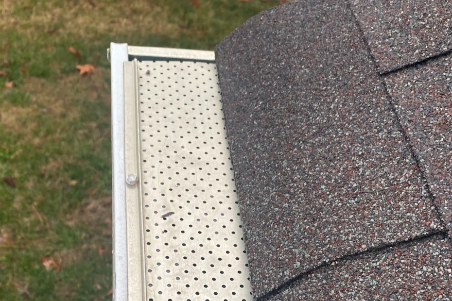 Gutter Cleaning Schaumburg