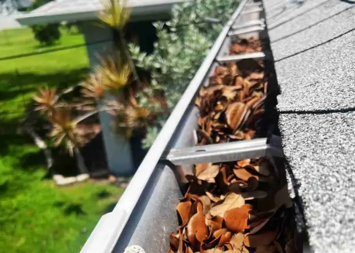 Gutter Cleaning Schaumburg home page